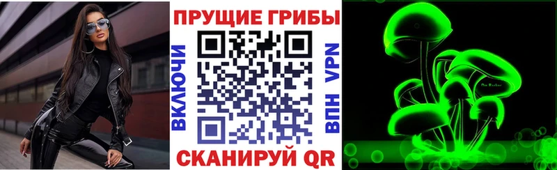 купить наркоту  KRAKEN ССЫЛКА  Псилоцибиновые грибы Cubensis  Ноябрьск 